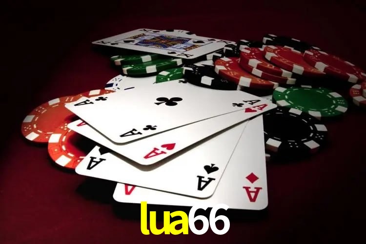 Experiência VIP lua66